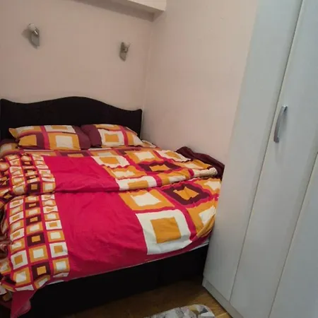 Avokado 14 Bitola